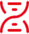 自主研發(fā)團(tuán)隊(duì)